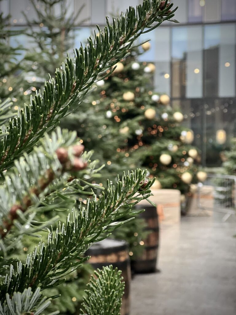 Christmas Event Production