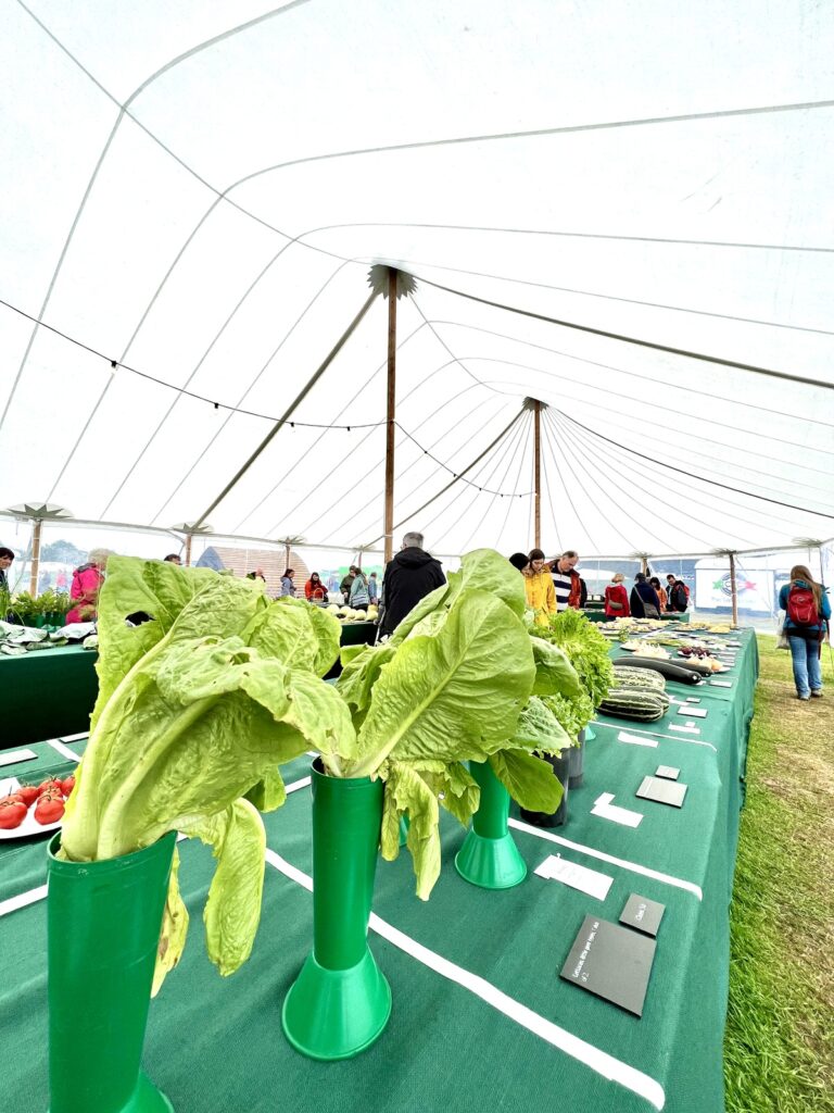 RHS sailcloth supplier